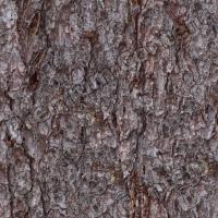 Seamless Bark 0017